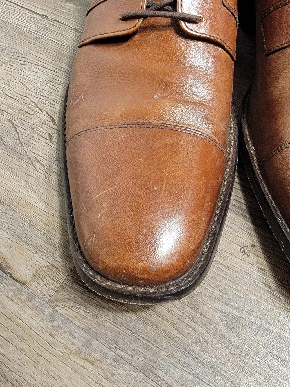 Johnston & Murphy Brown Leather Cap-Toe Derby Oxfords